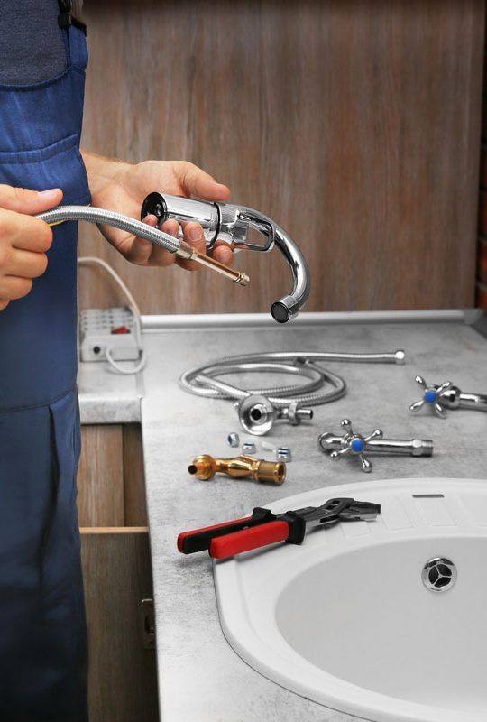 Plumbing Professional